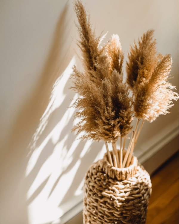 pexels-amina-filkins-5425122-abt